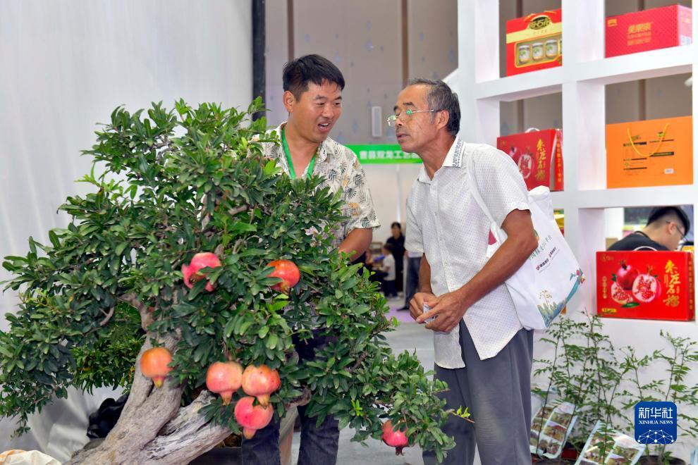 巴黎人app下载